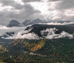 Preview wallpaper landscape, mountains, forest, trees, clouds, nature