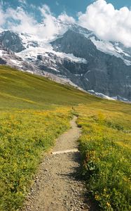 Preview wallpaper landscape, mountains, grass, walk, pacification