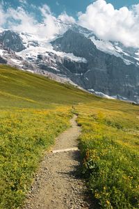 Preview wallpaper landscape, mountains, grass, walk, pacification