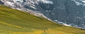 Preview wallpaper landscape, mountains, grass, walk, pacification