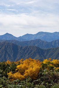 Preview wallpaper landscape, mountains, peaks, grass, plants, nature