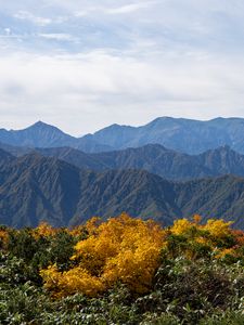 Preview wallpaper landscape, mountains, peaks, grass, plants, nature