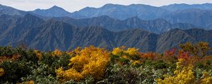 Preview wallpaper landscape, mountains, peaks, grass, plants, nature