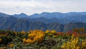 Preview wallpaper landscape, mountains, peaks, grass, plants, nature