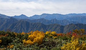 Preview wallpaper landscape, mountains, peaks, grass, plants, nature