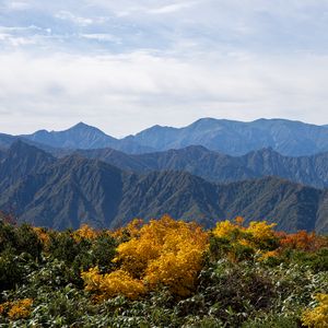 Preview wallpaper landscape, mountains, peaks, grass, plants, nature