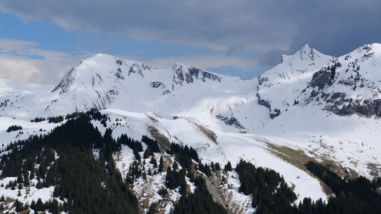 Wallpaper landscape, mountains, slope, snow, trees