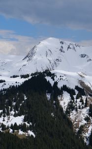 Preview wallpaper landscape, mountains, slope, snow, trees