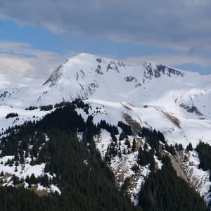 Preview wallpaper landscape, mountains, slope, snow, trees