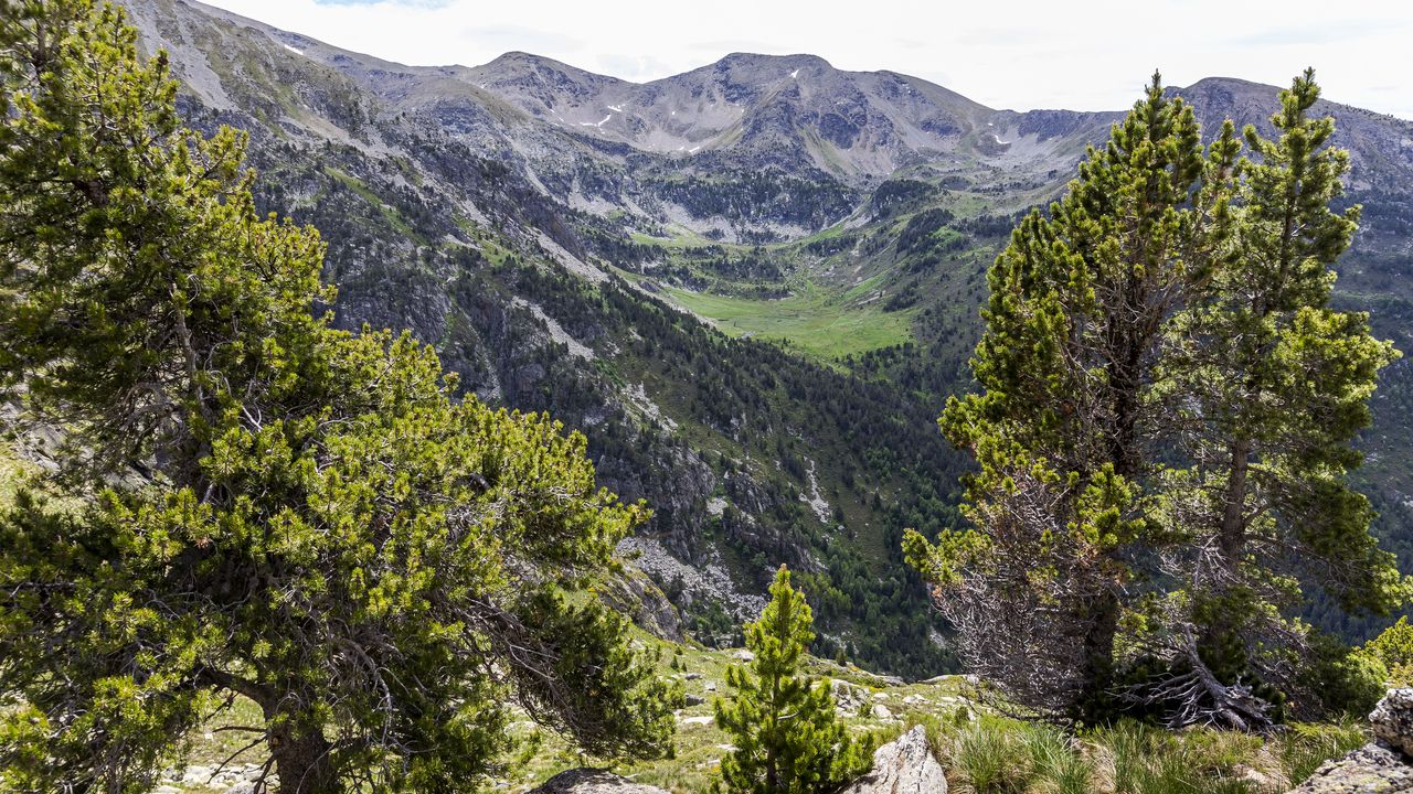 Wallpaper landscape, mountains, tree, relief, nature