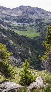 Preview wallpaper landscape, mountains, tree, relief, nature