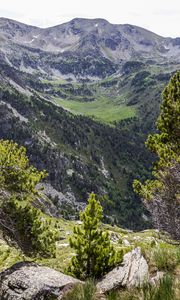 Preview wallpaper landscape, mountains, tree, relief, nature