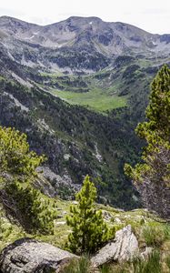 Preview wallpaper landscape, mountains, tree, relief, nature