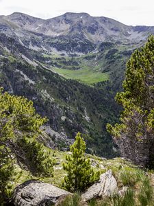 Preview wallpaper landscape, mountains, tree, relief, nature