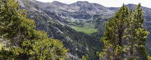 Preview wallpaper landscape, mountains, tree, relief, nature