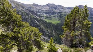 Preview wallpaper landscape, mountains, tree, relief, nature