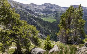 Preview wallpaper landscape, mountains, tree, relief, nature