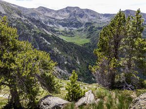 Preview wallpaper landscape, mountains, tree, relief, nature