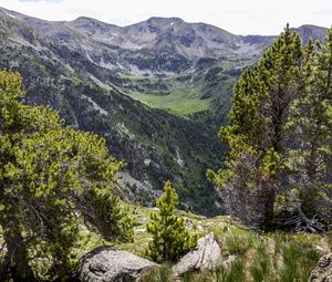 Preview wallpaper landscape, mountains, tree, relief, nature