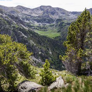 Preview wallpaper landscape, mountains, tree, relief, nature