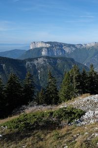 Preview wallpaper landscape, mountains, trees, nature, peaks