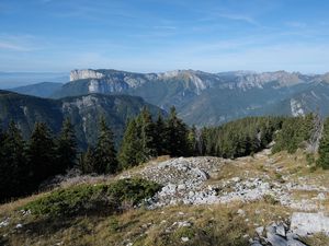 Preview wallpaper landscape, mountains, trees, nature, peaks