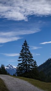 Preview wallpaper landscape, mountains, trees, path