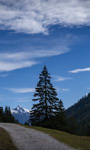 Preview wallpaper landscape, mountains, trees, path