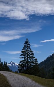 Preview wallpaper landscape, mountains, trees, path