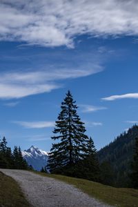Preview wallpaper landscape, mountains, trees, path