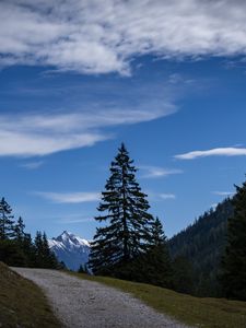 Preview wallpaper landscape, mountains, trees, path