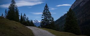 Preview wallpaper landscape, mountains, trees, path