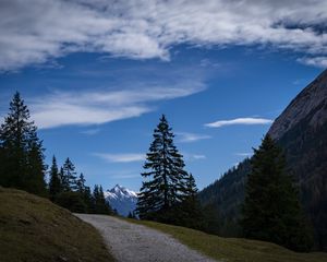 Preview wallpaper landscape, mountains, trees, path