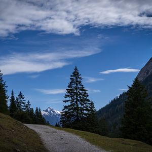 Preview wallpaper landscape, mountains, trees, path