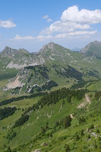 Preview wallpaper landscape, mountains, valley, slopes, trees, nature