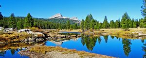 Preview wallpaper landscape, nature, river, trees, reflection