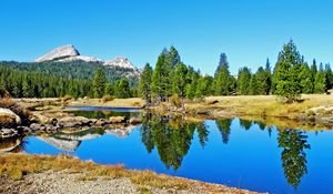 Preview wallpaper landscape, nature, river, trees, reflection