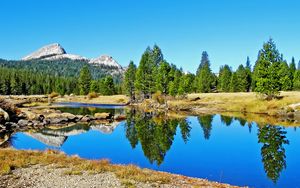 Preview wallpaper landscape, nature, river, trees, reflection