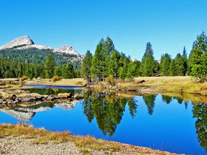 Preview wallpaper landscape, nature, river, trees, reflection