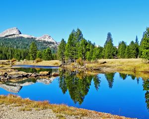 Preview wallpaper landscape, nature, river, trees, reflection