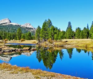 Preview wallpaper landscape, nature, river, trees, reflection