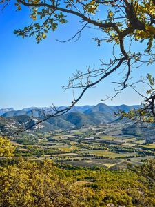 Preview wallpaper landscape, peaks, branch, hills