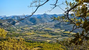 Preview wallpaper landscape, peaks, branch, hills