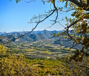 Preview wallpaper landscape, peaks, branch, hills