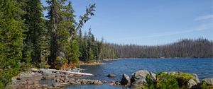 Preview wallpaper landscape, pond, forest, trees