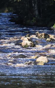 Preview wallpaper landscape, river, flow, rocks, trees, nature