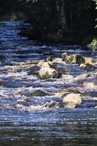 Preview wallpaper landscape, river, flow, rocks, trees, nature