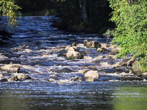 Preview wallpaper landscape, river, flow, rocks, trees, nature