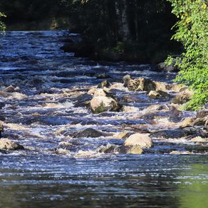 Preview wallpaper landscape, river, flow, rocks, trees, nature