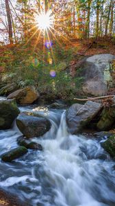 Preview wallpaper landscape, river, forest, stones, water, sun, nature
